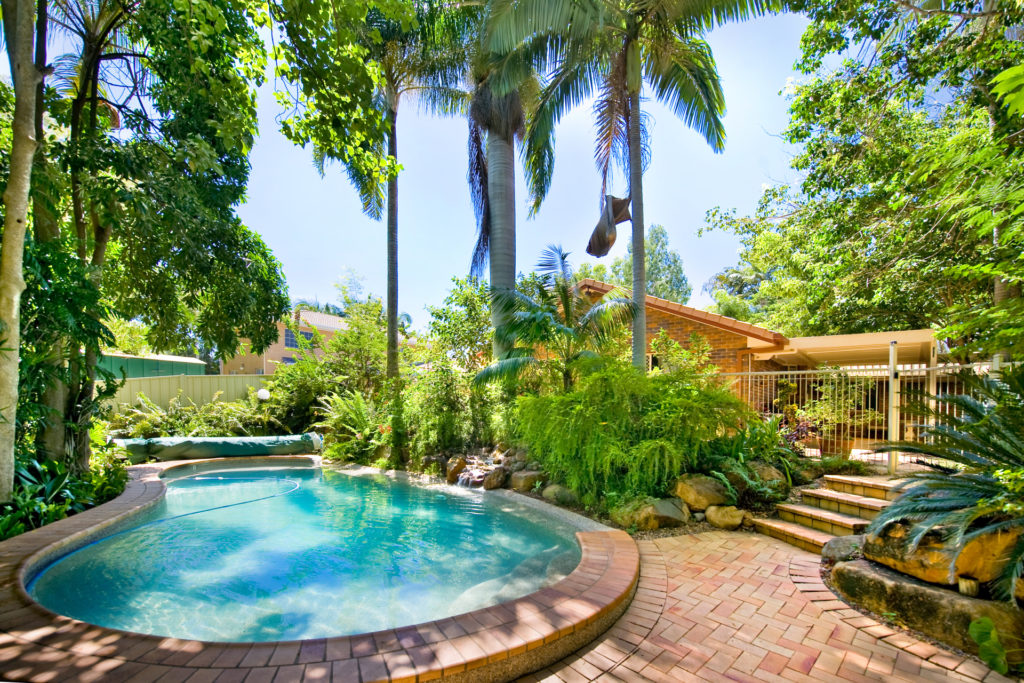 The best plants for around pools in Australia Tuggerah Pools